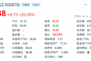 江油鸿飞债权收益权2024年资产转让的简单介绍