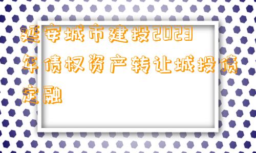 延安城市建投2023年债权资产转让城投债定融