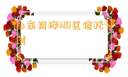 山东菏泽MD区信托计划