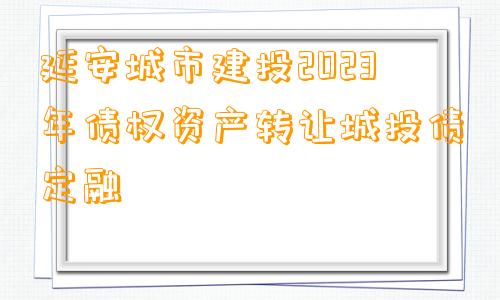 延安城市建投2023年债权资产转让城投债定融