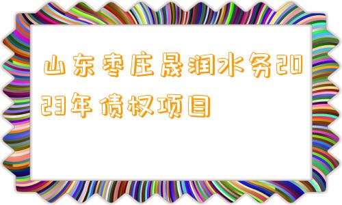 山东枣庄晟润水务2023年债权项目