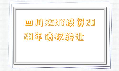 四川XSNY投资2023年债权转让