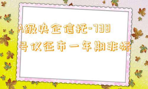 A级央企信托-738号仪征市一年期非标