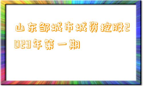 山东邹城市城资控股2023年第一期