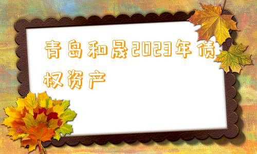 青岛和晟2023年债权资产