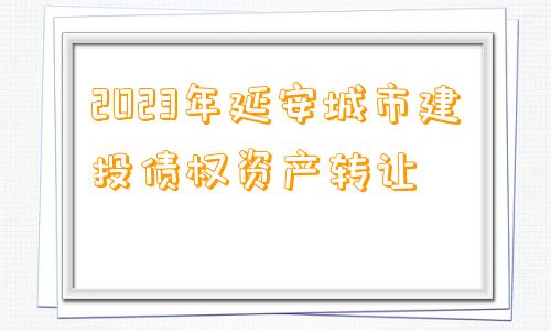 2023年延安城市建投债权资产转让