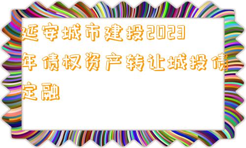 延安城市建投2023年债权资产转让城投债定融