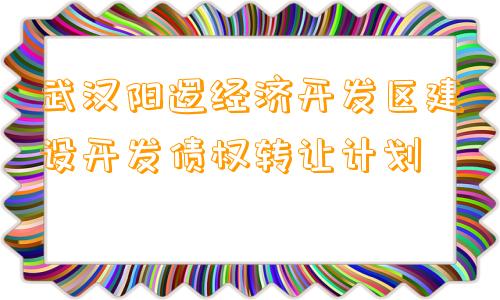 武汉阳逻经济开发区建设开发债权转让计划