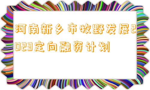 河南新乡市牧野发展2023定向融资计划