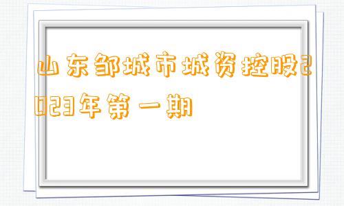 山东邹城市城资控股2023年第一期