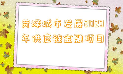 菏泽城市发展2023年供应链金融项目