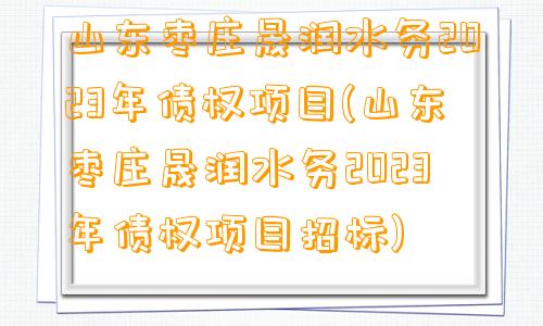 山东枣庄晟润水务2023年债权项目(山东枣庄晟润水务2023年债权项目招标)