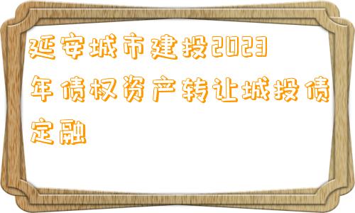 延安城市建投2023年债权资产转让城投债定融