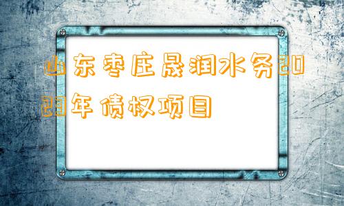 山东枣庄晟润水务2023年债权项目