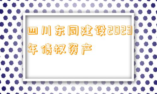 四川东同建设2023年债权资产