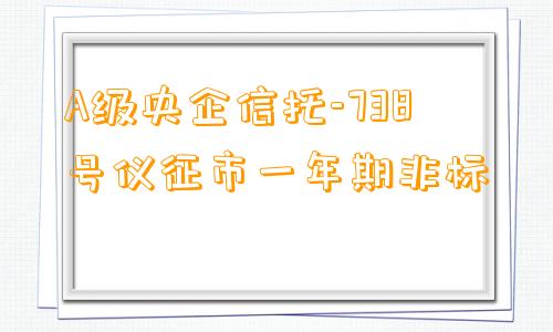 A级央企信托-738号仪征市一年期非标