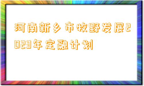 河南新乡市牧野发展2023年定融计划