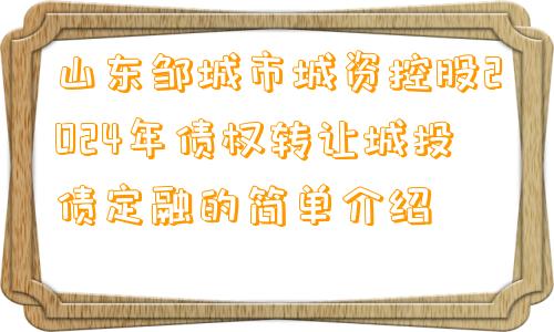 山东邹城市城资控股2024年债权转让城投债定融的简单介绍