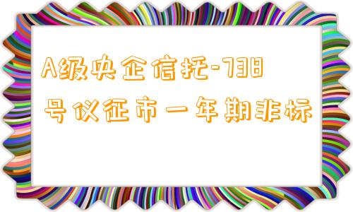 A级央企信托-738号仪征市一年期非标