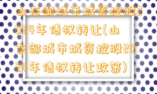 山东邹城市城资控股2024年债权转让(山东邹城市城资控股2024年债权转让政策)