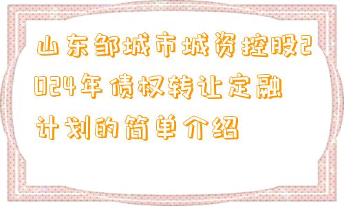 山东邹城市城资控股2024年债权转让定融计划的简单介绍