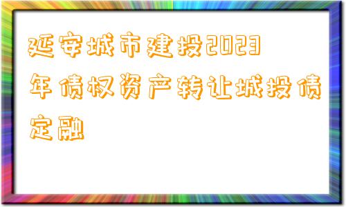 延安城市建投2023年债权资产转让城投债定融