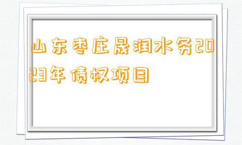 山东枣庄晟润水务2023年债权项目