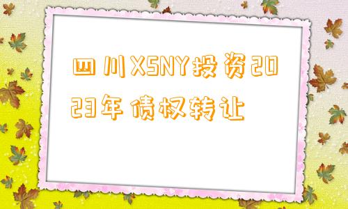 四川XSNY投资2023年债权转让