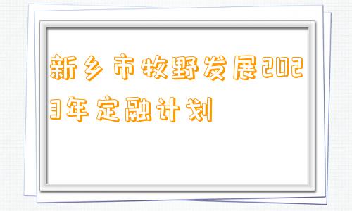 新乡市牧野发展2023年定融计划