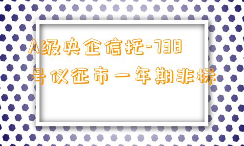 A级央企信托-738号仪征市一年期非标