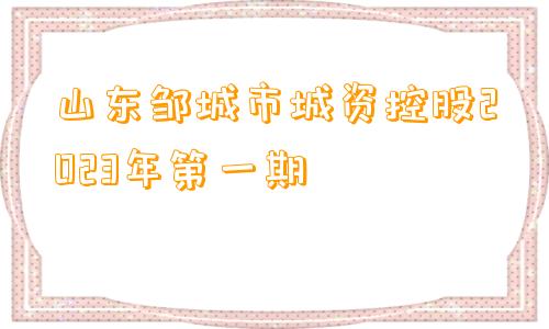 山东邹城市城资控股2023年第一期