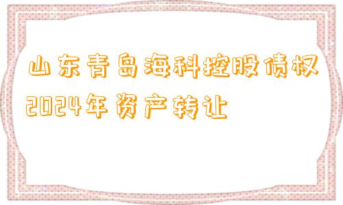 山东青岛海科控股债权2024年资产转让