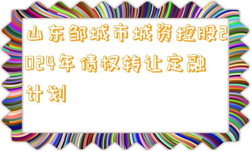 山东邹城市城资控股2024年债权转让定融计划