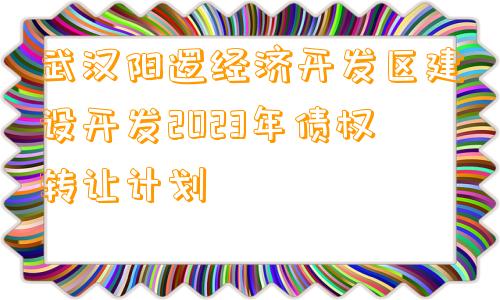 武汉阳逻经济开发区建设开发2023年债权转让计划