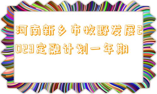 河南新乡市牧野发展2023定融计划一年期