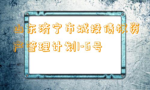 山东济宁市城投债权资产管理计划1-6号