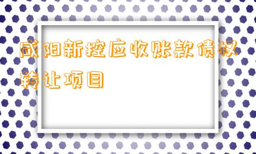 咸阳新控应收账款债权转让项目