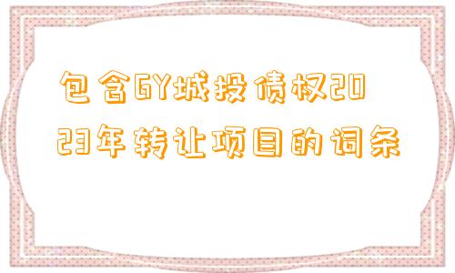 包含GY城投债权2023年转让项目的词条