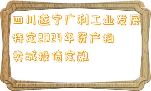 四川遂宁广利工业发展特定2024年资产拍卖城投债定融