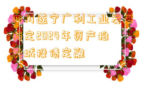 四川遂宁广利工业发展特定2024年资产拍卖城投债定融