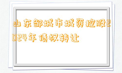 山东邹城市城资控股2024年债权转让