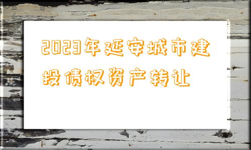 2023年延安城市建投债权资产转让