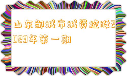 山东邹城市城资控股2023年第一期