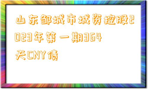 山东邹城市城资控股2023年第一期364天CNY债