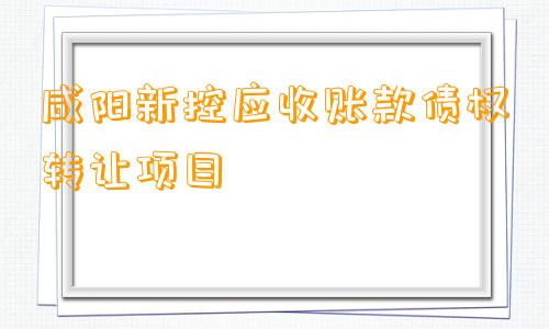 咸阳新控应收账款债权转让项目