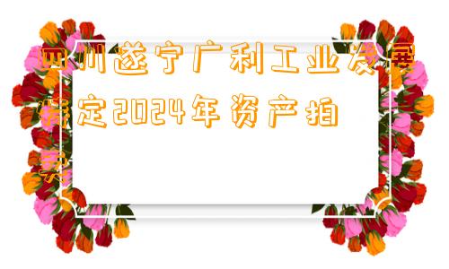 四川遂宁广利工业发展特定2024年资产拍卖
