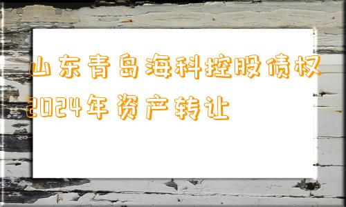 山东青岛海科控股债权2024年资产转让