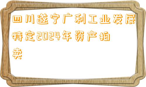 四川遂宁广利工业发展特定2024年资产拍卖