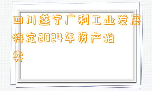 四川遂宁广利工业发展特定2024年资产拍卖