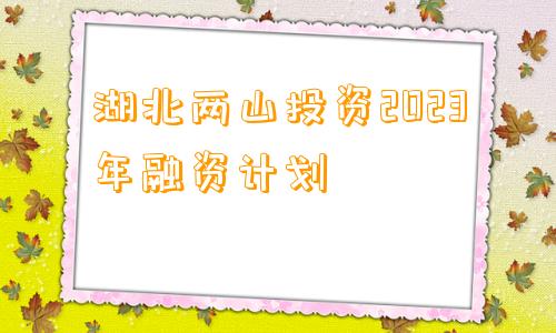 湖北两山投资2023年融资计划